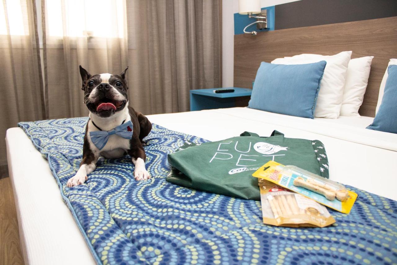 Hilton Garden Inn Santo Andre מראה חיצוני תמונה