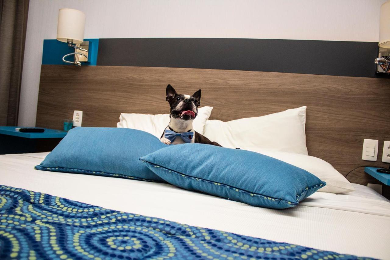 Hilton Garden Inn Santo Andre מראה חיצוני תמונה